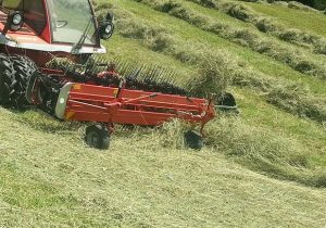 ranghinatore-Ref